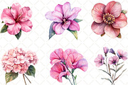 Pink Flowers Watercolor Clipart, an Illustration by Black Bird Studio (Thumbnail 3 of 6)