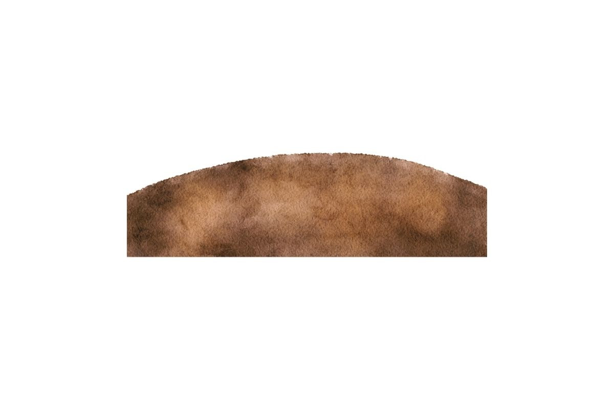 Watercolor Ground, Soil Clipart, an Illustration by Awieee1 (Photo 2 of 3)