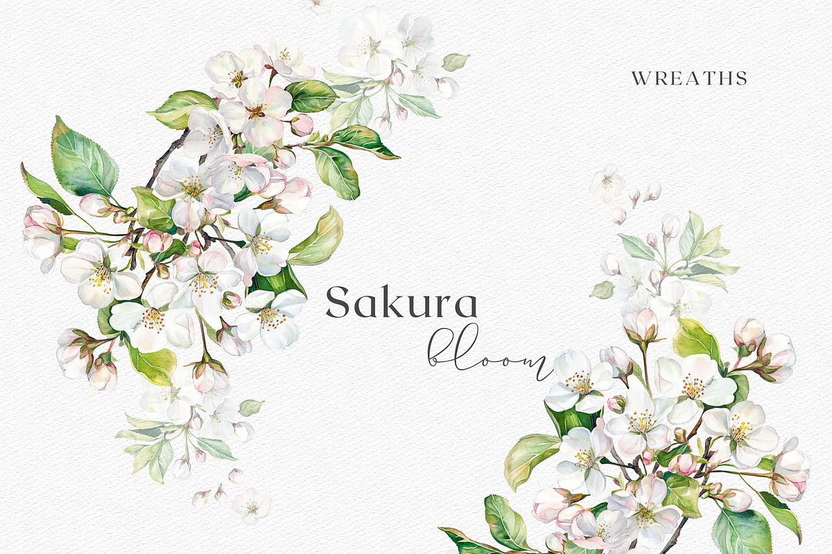 Sakura Bloom - Cherry Blossom, a Decorative Illustration by ThaismotaCreativeCo (Photo 5 of 9)