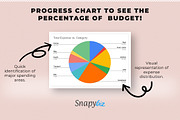 Income - Expense Tracker Spreadsheet, a Templates & Theme by Snapybiz (Thumbnail 6 of 10)