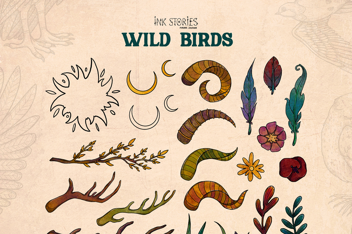 Wild Birds, an Animal Illustration by Ink Stories (Photo 7 of 20)