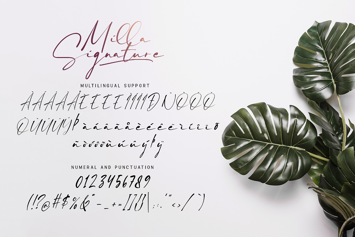 Milla Signature - A Handwritten Font, a Script Font by overlaytemplates (Photo 4 of 5)