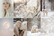210 Christmas Winter Stock Photos, a Holiday Photo by Allure Art (Thumbnail 6 of 38)