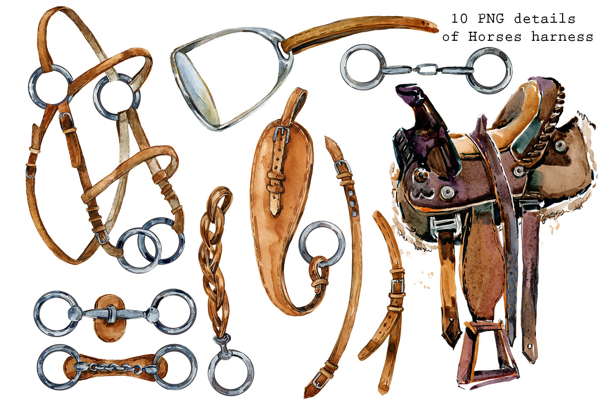 Sport Horses watercolor set, an Object Graphic by FineArt (Photo 16 of 18)