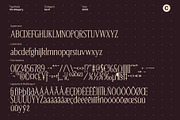 CS Allegory – Elegant Serif Font, a Serif Font by Craft Supply Co. (Thumbnail 8 of 8)