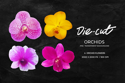 Die-cut Orchids Collection
