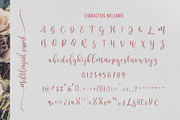 Melloner Fonts, a Script Font by alit design (Thumbnail 5 of 12)