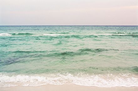 Florida Palm preview 6