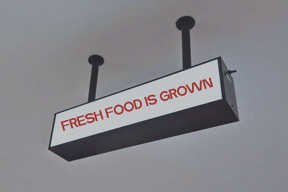 Kingly Sans, a Sans Serif Font by executypeStudio (Photo 3 of 14)