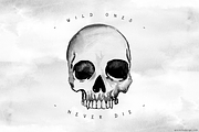 Watercolor skull | Rock and Roll, an Illustration by Goularte Design (Thumbnail 6 of 7)