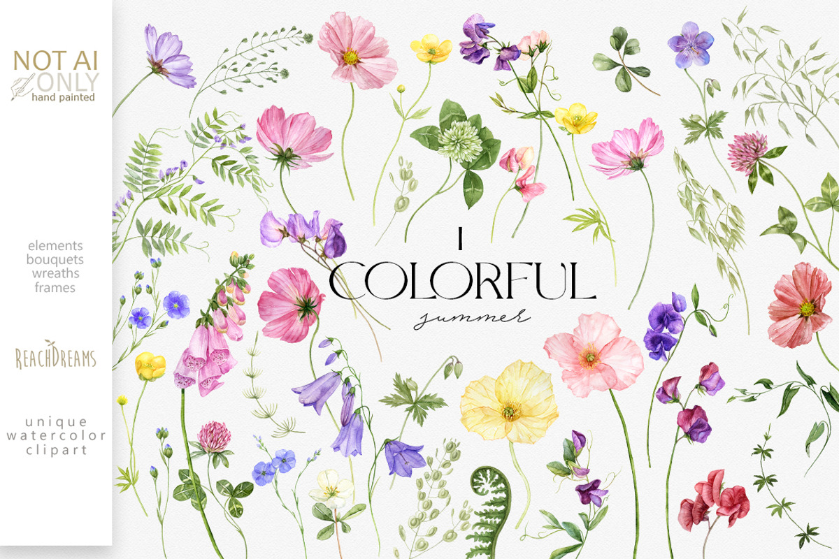 Wildflower watercolor floral clipart, a Decorative Illustration by ReachDreams (Photo 1 of 10)