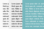 Champions - Modern Stylish, a Sans Serif Font by RockboyStd (Thumbnail 8 of 12)