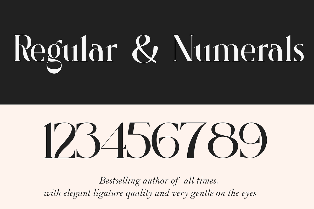 Roland Bryon Display, a Serif Font by LuhopCreative (Photo 4 of 18)
