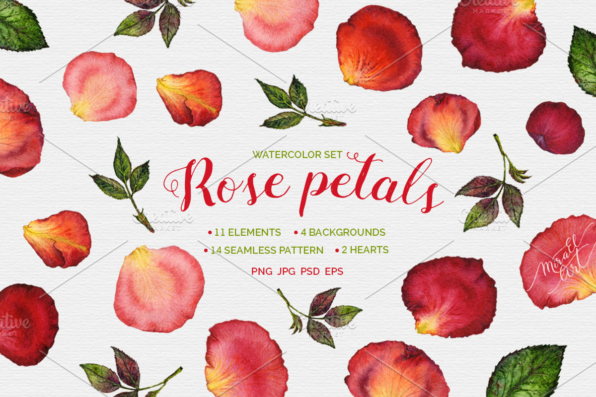 Floral watercolor rose petals, an Illustration by MiraEl Art (Photo 1 of 8)