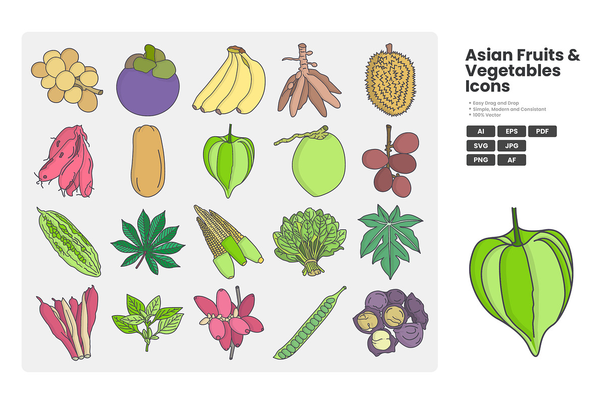 Asian Fruits Vegetables Icon Pack, a Duotone Icon by erifqizeicon (Photo 2 of 2)