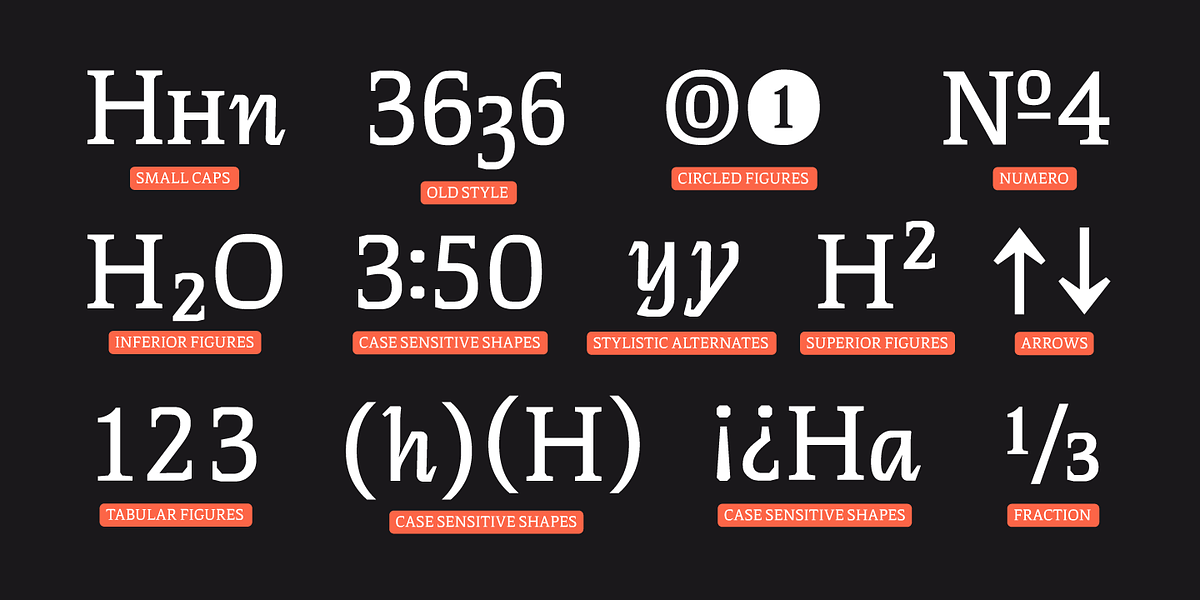 Thalweg Poetica, a Serif Font by Ani Dimitrova (Photo 11 of 15)