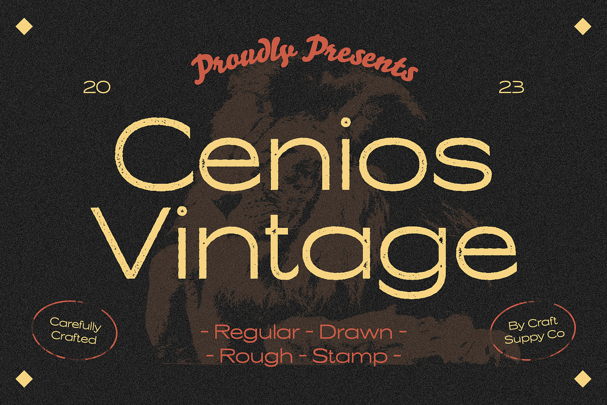 Cenios Vintage, a Sans Serif Font by Craft Supply Co. (Photo 1 of 8)
