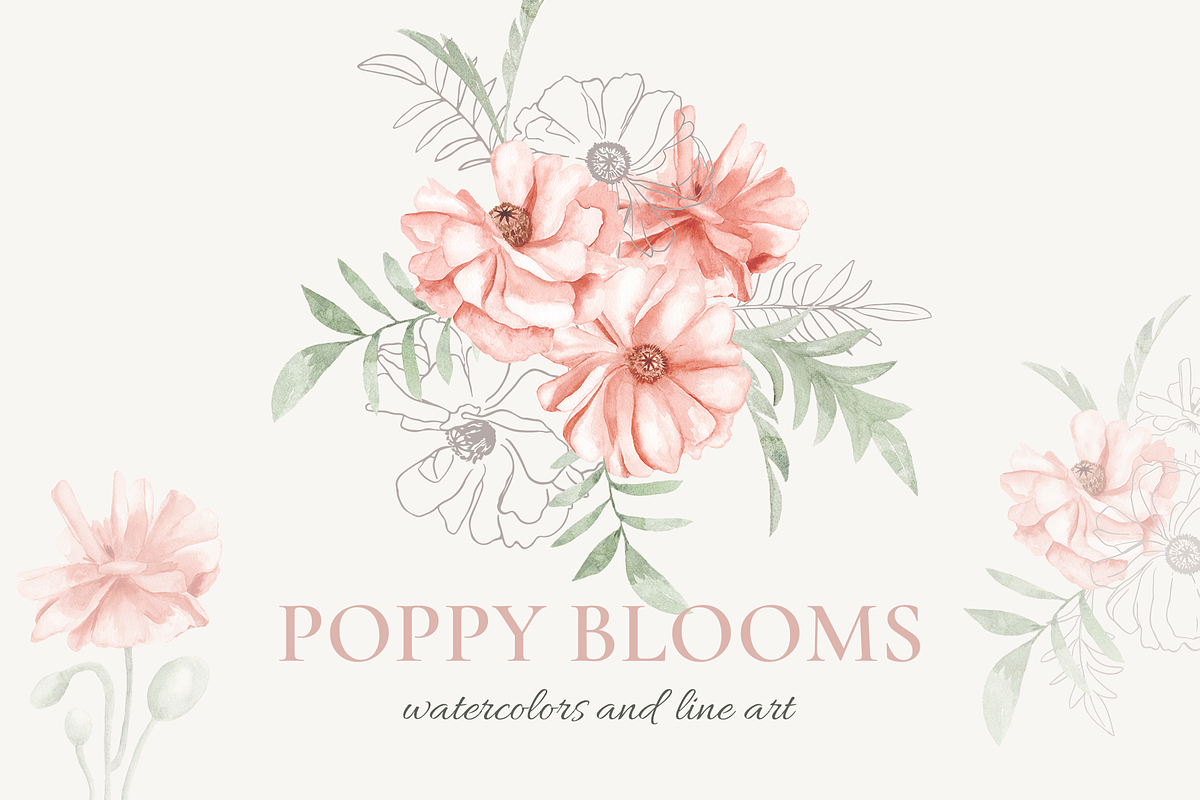 Poppy Blooms – Watercolor & Line Art, a Decorative Illustration by Liliia Polos Illustration (Photo 1 of 11)