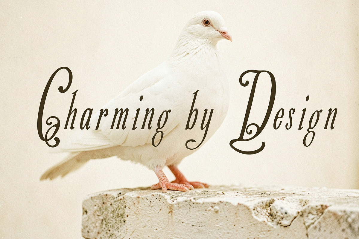 Krample Yards - Artisanal Soul, a Script Font by HypeWorksCo (Photo 17 of 21)
