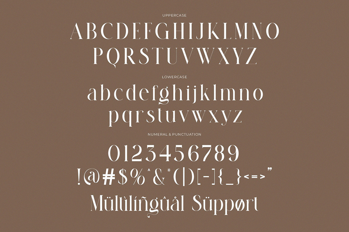 Fragile Modern Ligature Serif preview 7