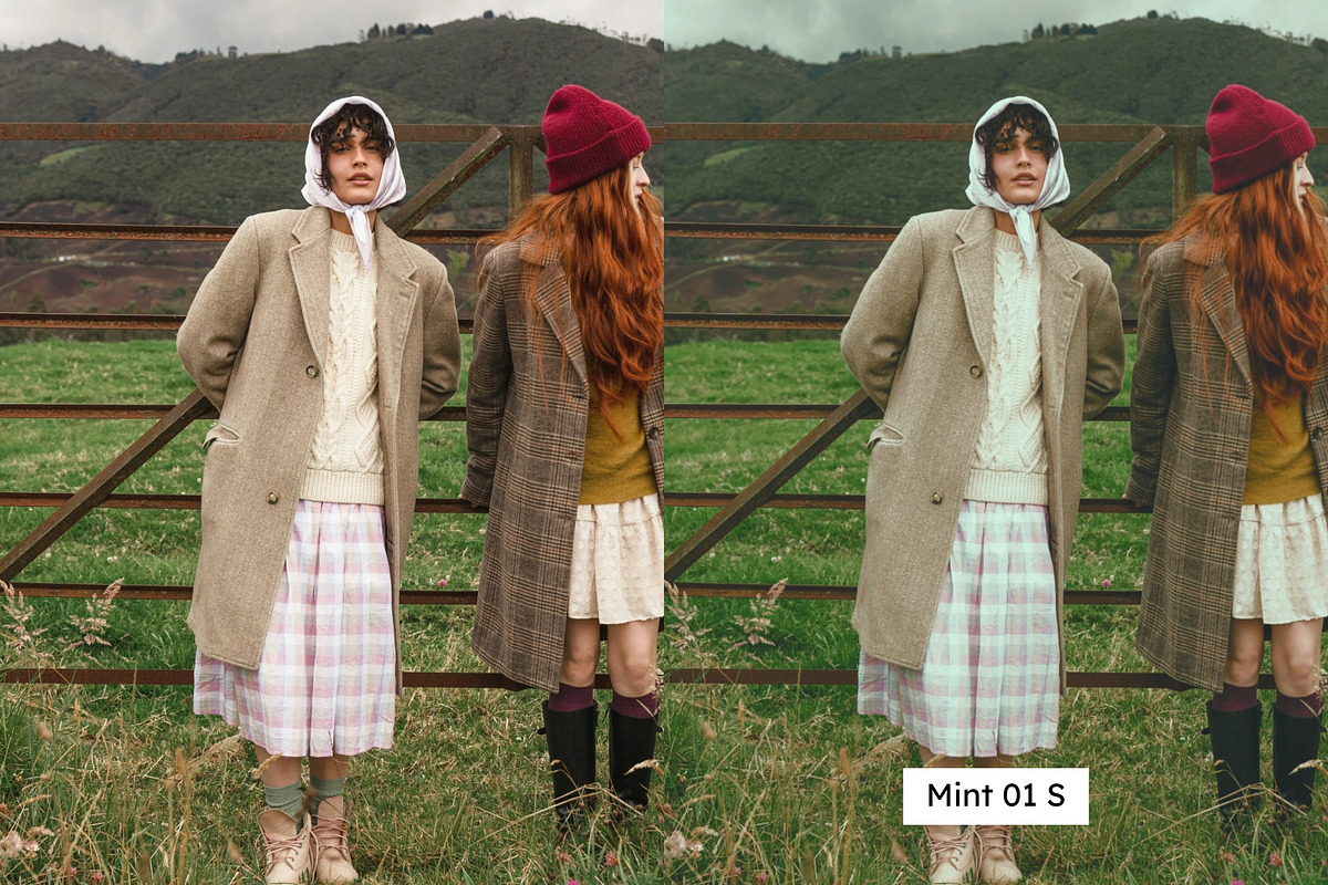 25 Emulsion Lightroom Presets & LUTs, a Preset Add-On by SparkleStock (Photo 6 of 14)