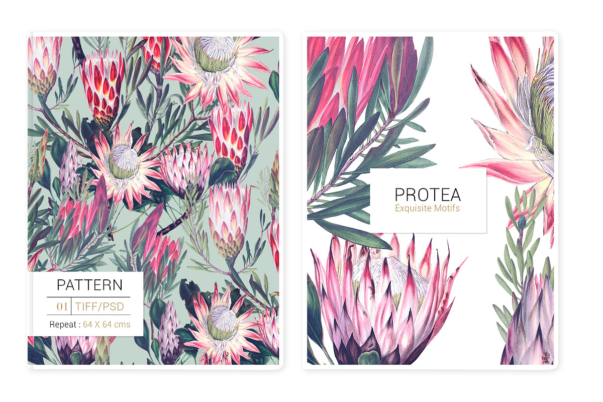 Protea, Patterns and Motifs Set, a Pattern Graphic by TSTUDIO
