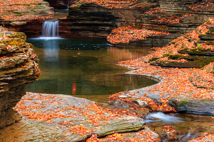 Watkins Glen State Park