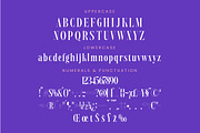 Magrefin Modern Display Font, a Serif Font by Letterena Studios (Thumbnail 13 of 15)
