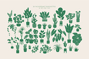 Home Plants | House Plants in Pots, a Decorative Illustration by Berentine.art (Thumbnail 10 of 16)