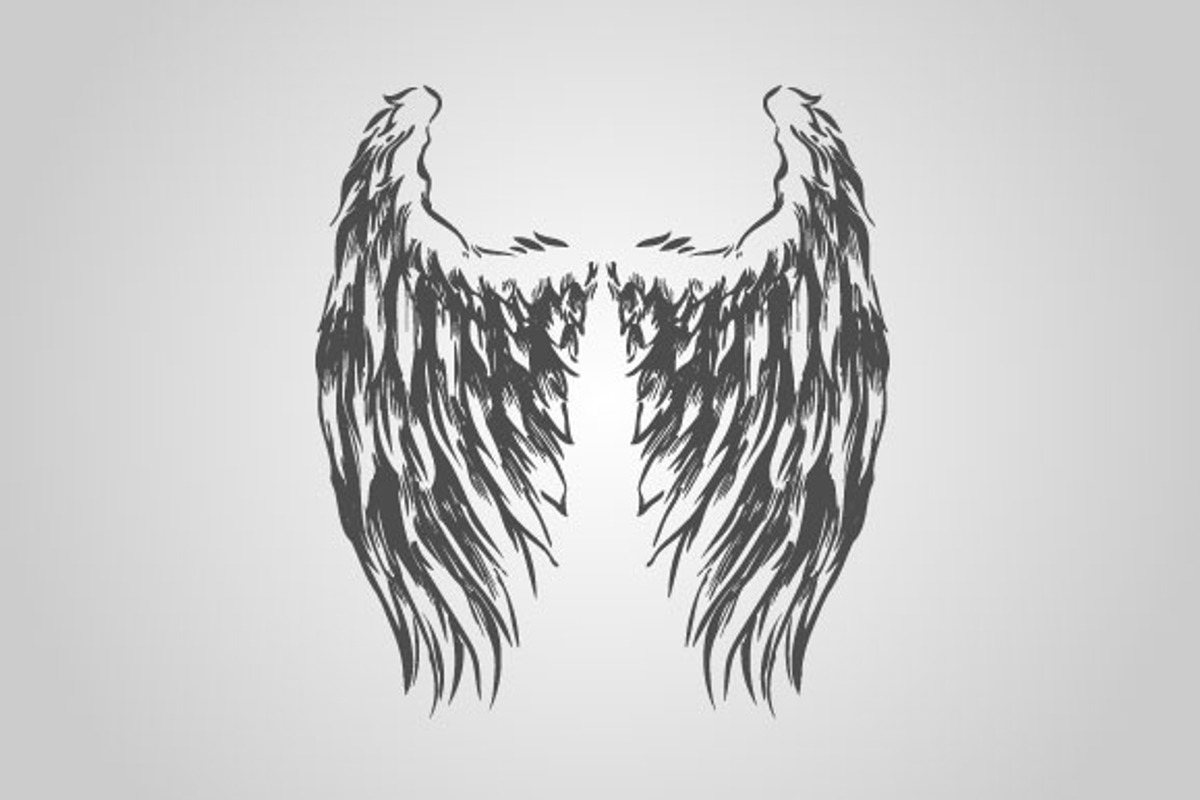 15 Wing Illustrations (Vector), an Animal Illustration by BIOWORKZ (Photo 4 of 5)