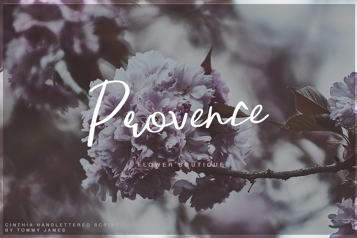 Cinthia Font preview 7