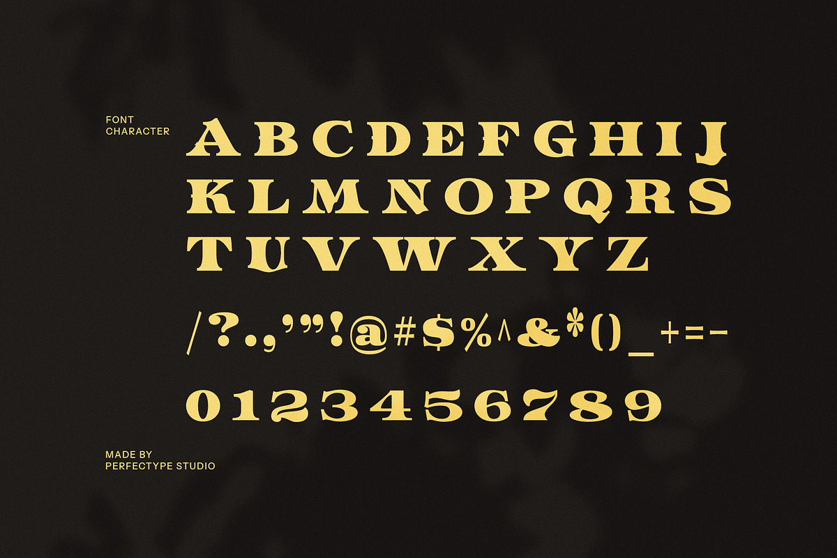 The Brown Zonky Elegant Serif Font, a Serif Font by Perfectype (Photo 8 of 8)