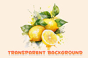 Citrus Watercolor Clipart, a Food Illustration by CrittersHub (Thumbnail 4 of 4)