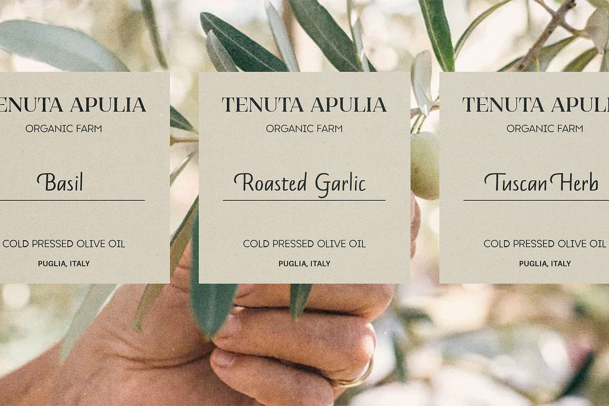 Mandys - Formal Handwritten Typeface, a Handwritten Font by ManuelRosin (Photo 3 of 13)