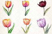 Watercolor Tulip Clipart, an Illustration by Libby Wishes (Thumbnail 4 of 5)