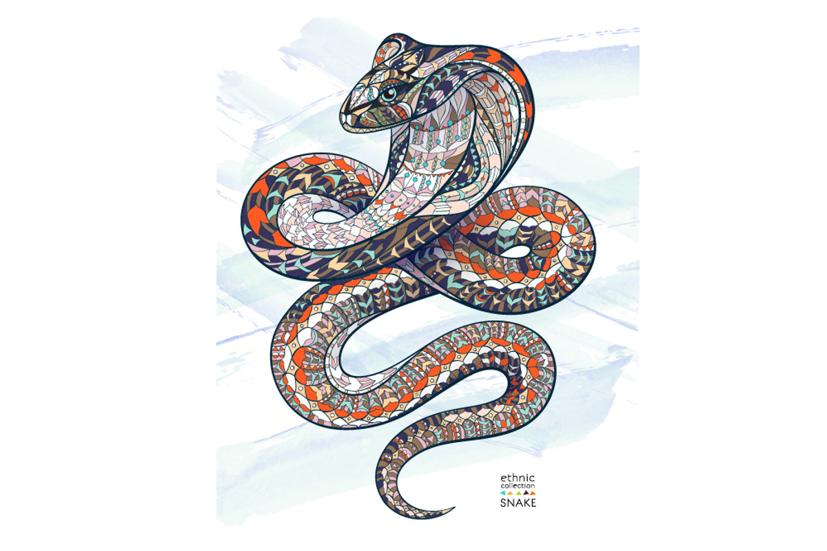 Ethnic Collection: Snake, an Animal Illustration by ArtoJoy (Photo 4 of 5)