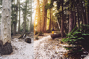 Super Lightroom Presets WF Bundle, an Action Add-On by RockShutter (Thumbnail 7 of 11)