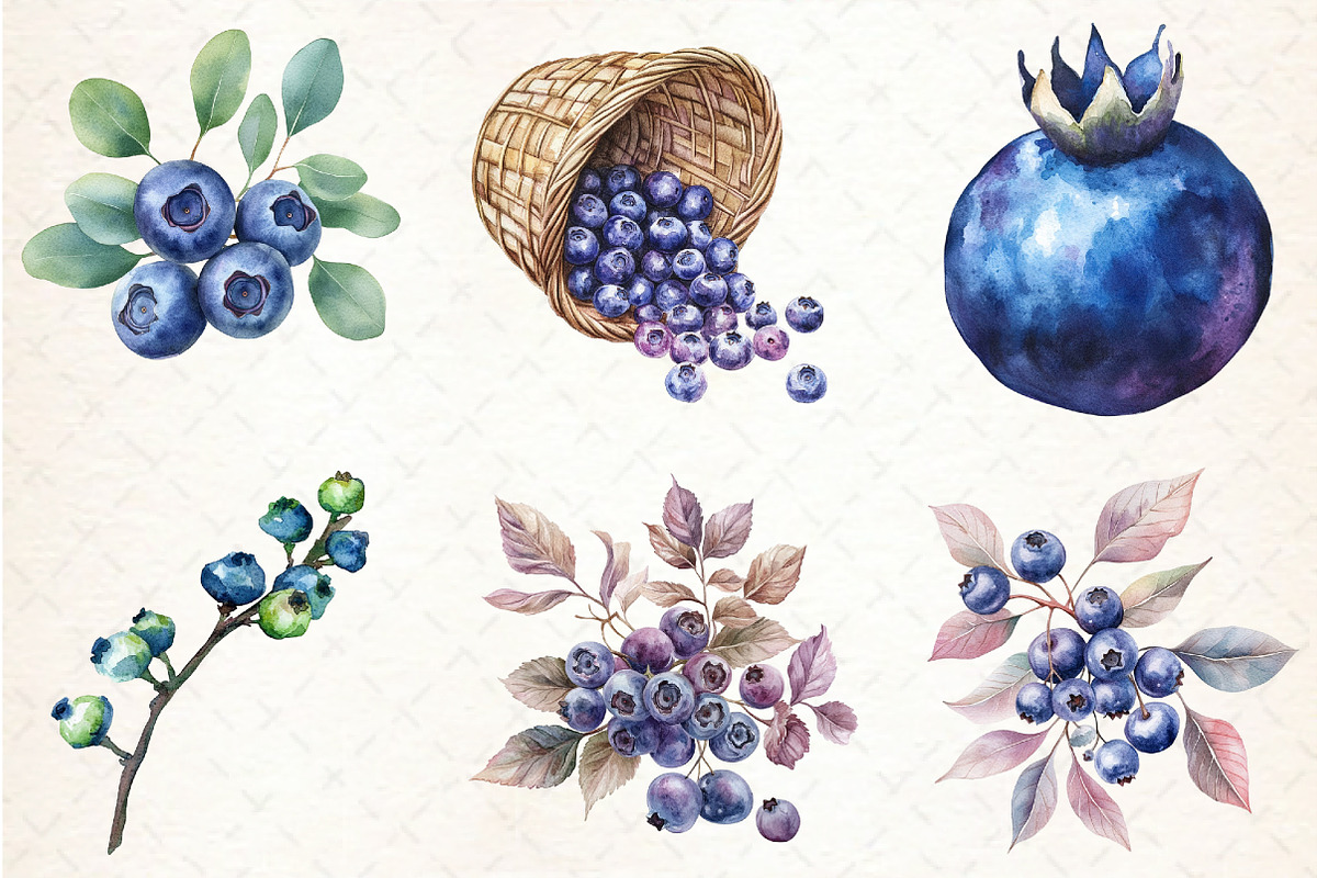 Watercolor Blueberries Clipart, an Illustration by Libby Wishes (Photo 6 of 11)