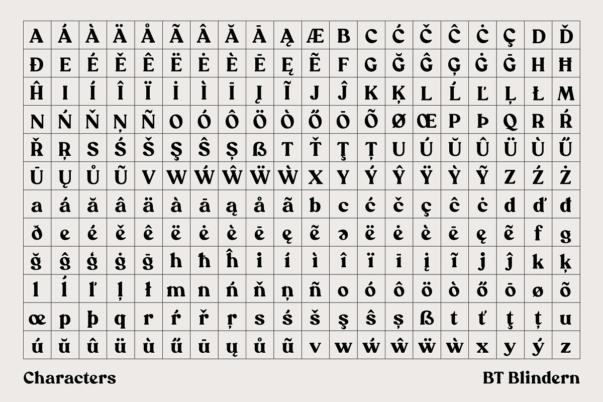 BT Blindern, a Serif Font by BadType (Photo 7 of 9)