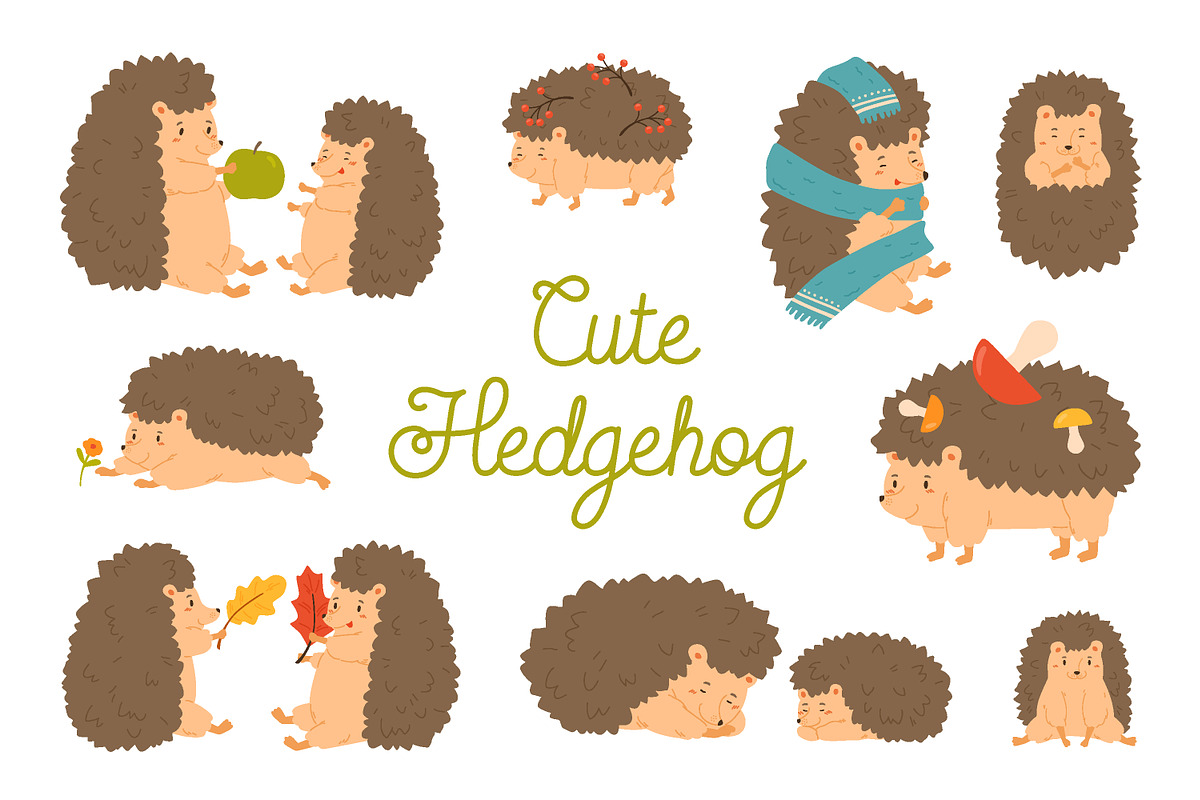 Cute cartoon hedgehog set, an Animal Illustration by Good Studio (Photo 1 of 5)