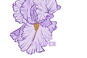 Iris Flower Purple Line Art Vector, an Illustration by ilonitta (Thumbnail 6 of 7)