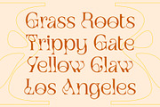 CS Moda – Experimental font, a Serif Font by Craft Supply Co. (Thumbnail 5 of 8)