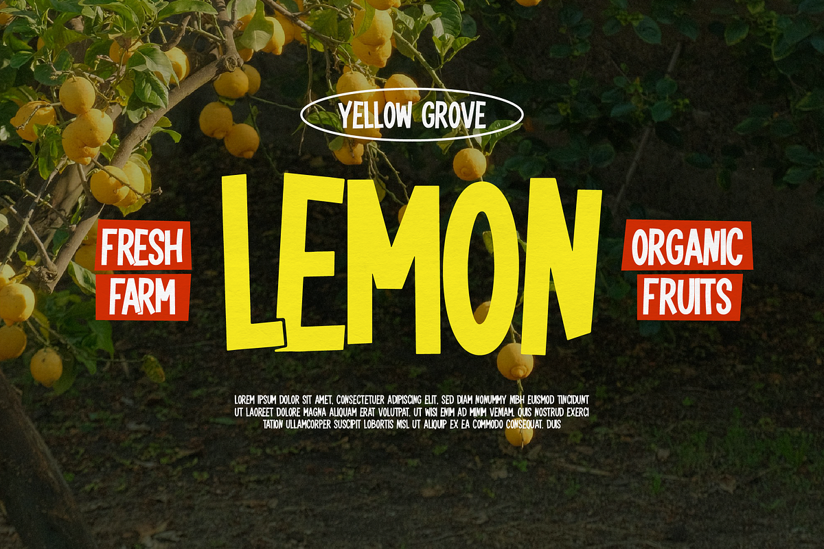 Ramveno | Playful Display, a Handwritten Font by gracetype_studio (Photo 7 of 12)