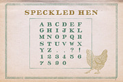 Speckled Hen Font, a Handwritten Font by Lettering Supply Co. (Thumbnail 4 of 4)