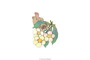Very Cute Cuties, an Illustration by Anastasiya Klempach (Thumbnail 2 of 14)