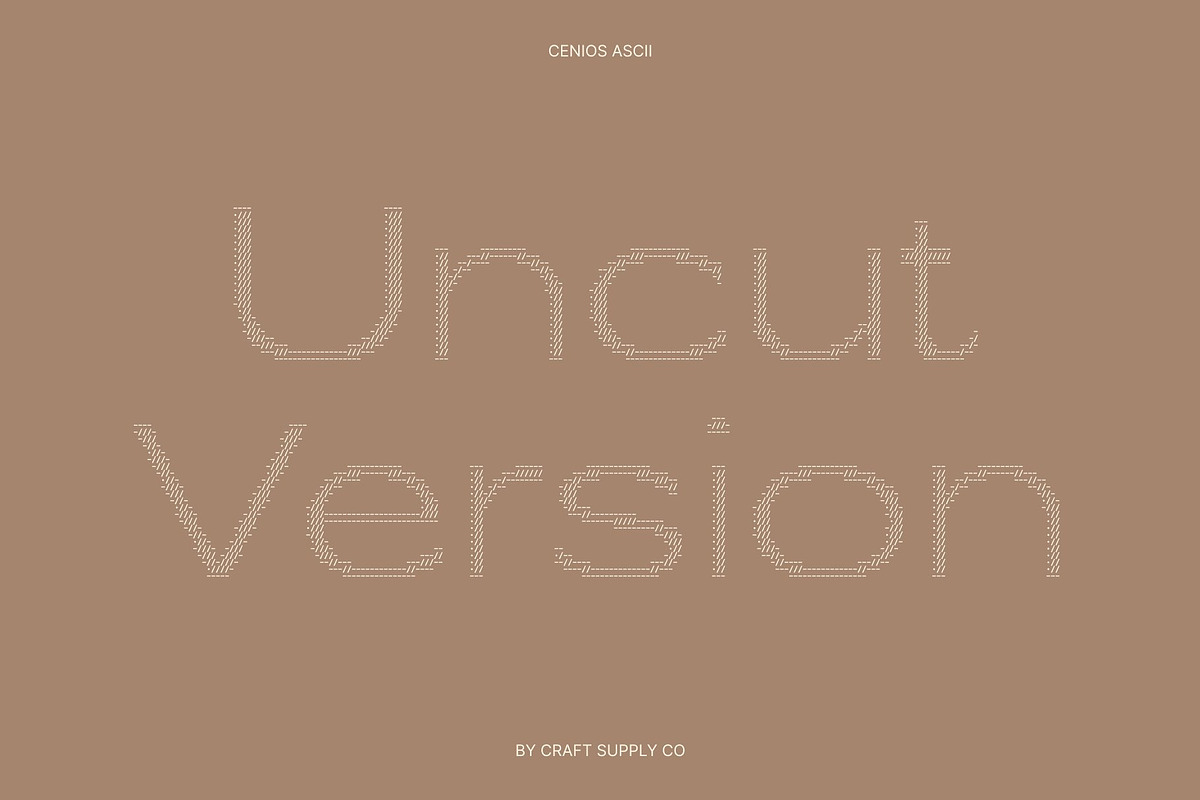 Cenios Ascii, a Sans Serif Font by Craft Supply Co. (Photo 3 of 8)