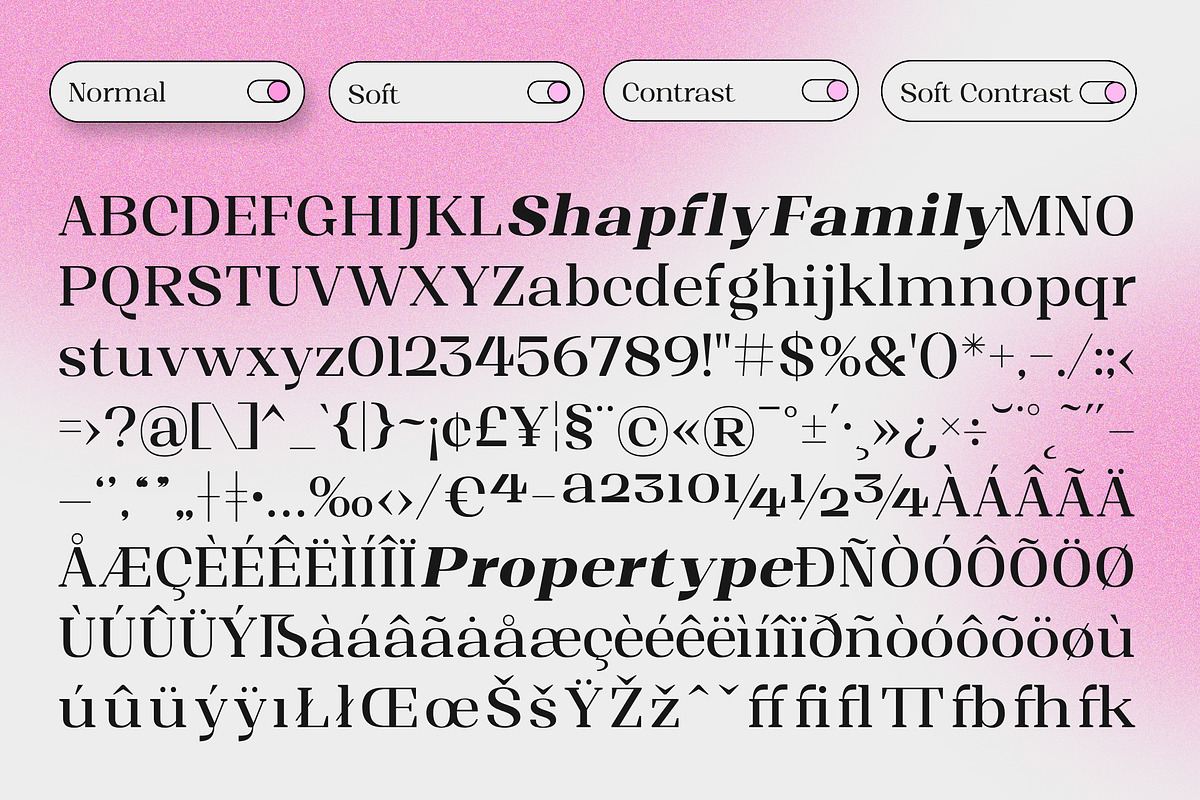 Shapfly, a Serif Font by Propertype (Photo 15 of 15)