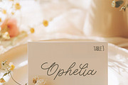 Whimsical Wedding Invitation Font, a Handwritten Font by Amalia Calligraphy (Thumbnail 8 of 8)
