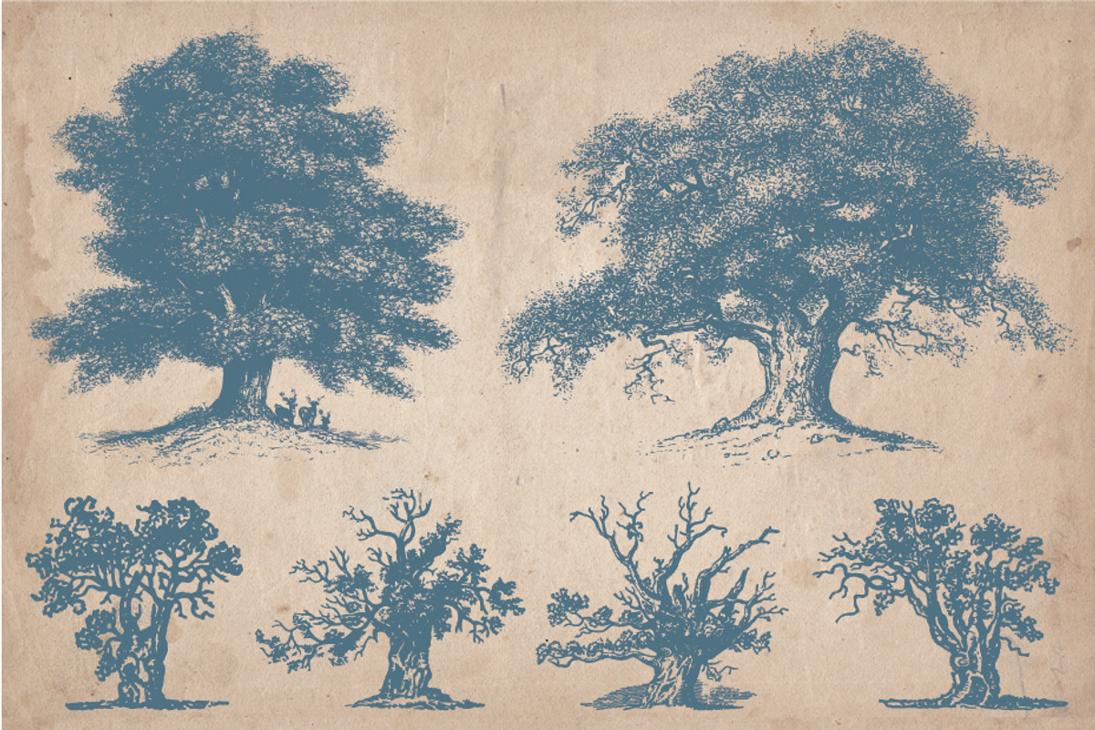 Vintage Illustrations - Trees, an Object Illustration by Mr Vintage (Photo 3 of 5)