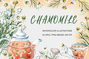 Chamomile watercolor clip art, a Decorative Illustration by SvetLana (Thumbnail 1 of 13)